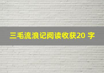 三毛流浪记阅读收获20 字